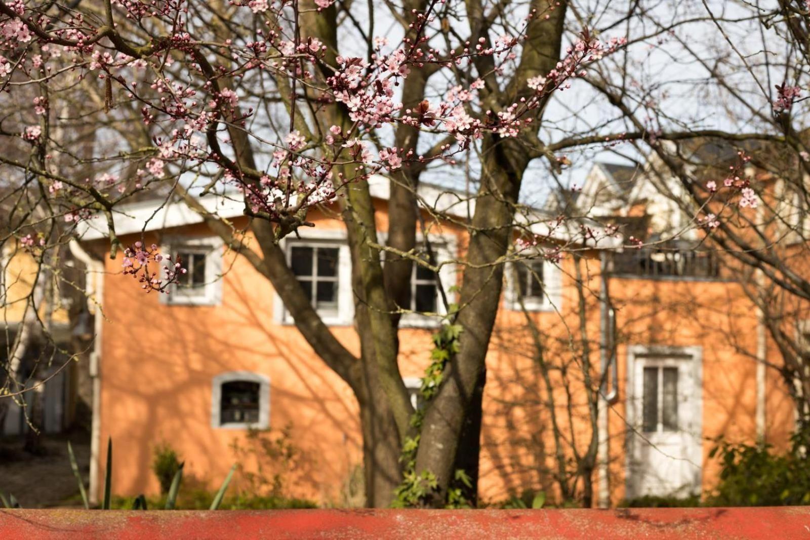 Ostseebad Kühlungsborn Auf-Den-Hoefen-Wohnung-05-Kleines-Glueck מראה חיצוני תמונה